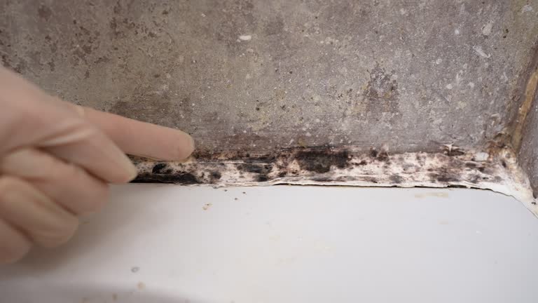 Mold Removal for HVAC Installations in Warner, OK